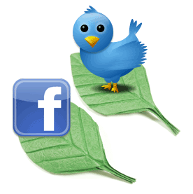 Follow us on twitter or facebook