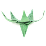 CB superior origami calyx with five sepals