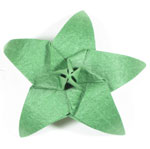 CB superior origami calyx with five sepals