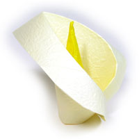 origami Calla Lily