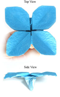 origami hydrangea flower II