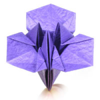 simple origami iris