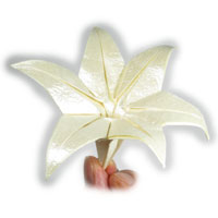 origami lily with six petals