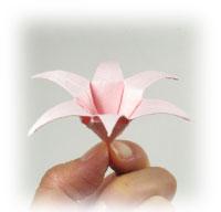 six petals origami lily