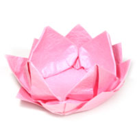 new origami lotus flower