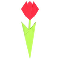 easy tulip with two leaves