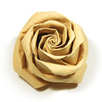 New rose of swirl by Kawasaki