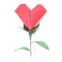Valentine's flower