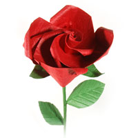 easy Valentine's rose flower image