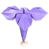 traditional origami iris
