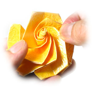 33th picture of five-petals easy origami rose II, spinning-top rose