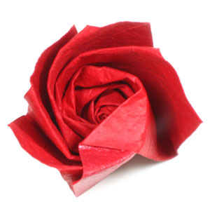 17th picture of Five-petals spiral origami rose paper flower