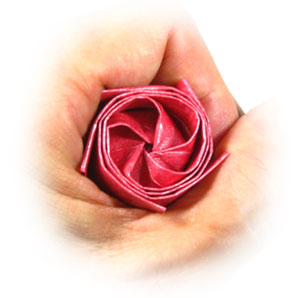 21th picture of Five-petals standard origami rose paper flower