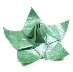 39th picture of Five-sepals Candlestick origami flower base
