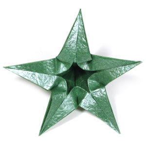 11th picture of Five-sepals CB standard origami calyx