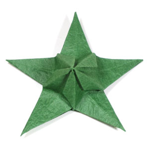 12th picture of Five-sepals CB standard origami calyx
