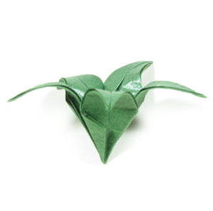 five-sepals CB standard origami calyx