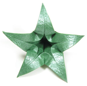 15th picture of Five-sepals CB standard origami calyx