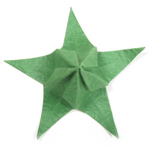 five-sepals CB standard origami calyx