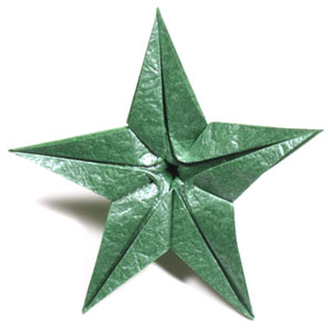 5th picture of Five-sepals CB superior origami calyx