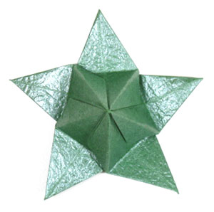 30th picture of Five-sepals standard origami calyx