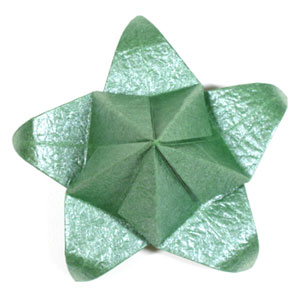 32th picture of Five-sepals standard origami calyx