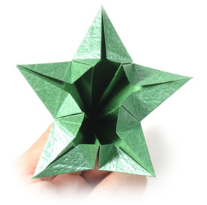 16th picture of Five-sepals super origami calyx