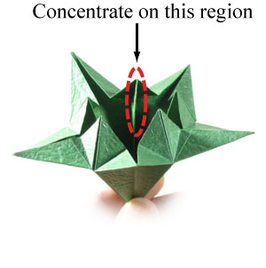 17th picture of Five-sepals super origami calyx