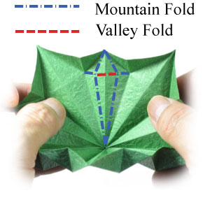 18th picture of Five-sepals super origami calyx
