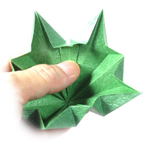20th picture of Five-sepals super origami calyx