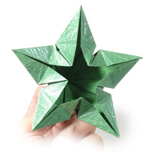 21th picture of Five-sepals super origami calyx