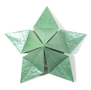 22th picture of Five-sepals super origami calyx