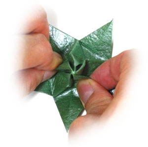 3rd picture of Five-sepals superior origami calyx