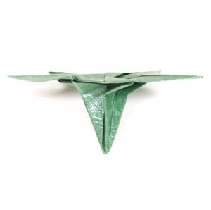 6th picture of Five-sepals superior origami calyx