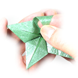 7th picture of Five-sepals superior origami calyx