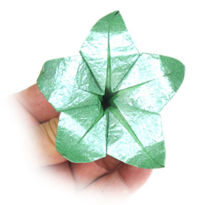 8th picture of Five-sepals superior origami calyx