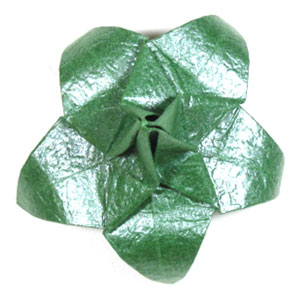 five-sepals auperior origami calyx
