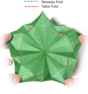 17th picture of Five-sepals supreme origami calyx