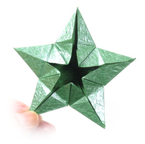 20th picture of Five-sepals supreme origami calyx