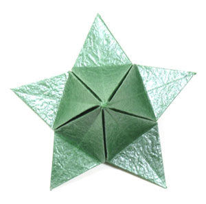 21th picture of Five-sepals supreme origami calyx