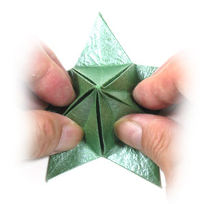 22th picture of Five-sepals supreme origami calyx