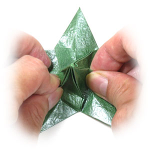 23th picture of Five-sepals supreme origami calyx