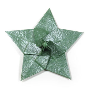 25th picture of Five-sepals supreme origami calyx