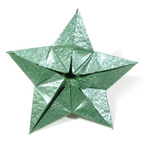 26th picture of Five-sepals supreme origami calyx