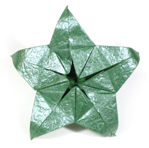 29th picture of Five-sepals supreme origami calyx