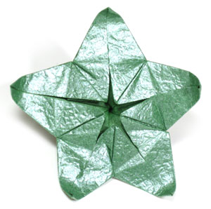 five sepals supreme origami calyx (top view)