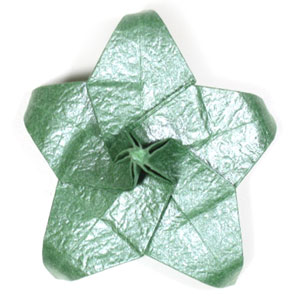 33th picture of Five-sepals supreme origami calyx