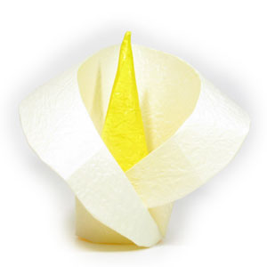 18th picture of origami Calla Lily