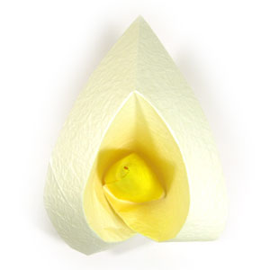19th picture of origami Calla Lily