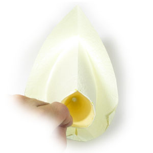 20th picture of origami Calla Lily